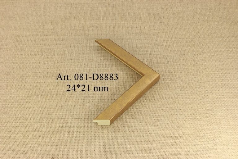 Frame 081-D8883, INTCO