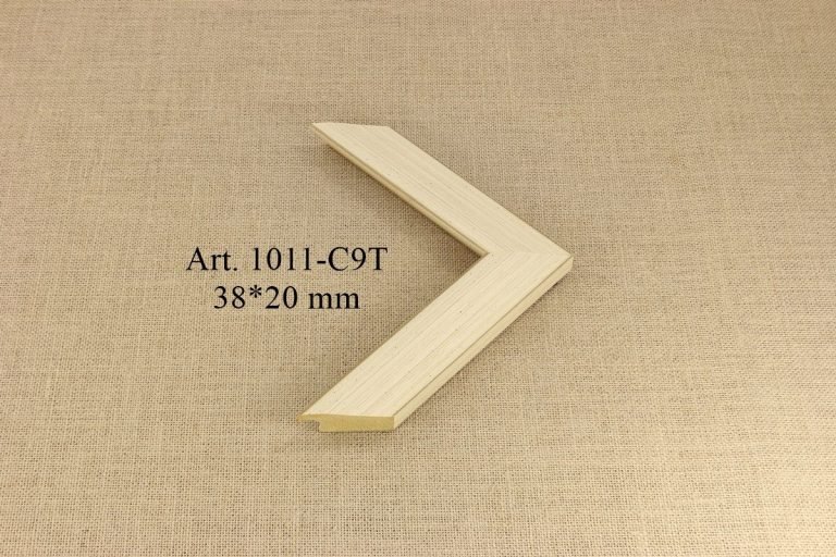 Rėmelis 1011-C9T, INTCO