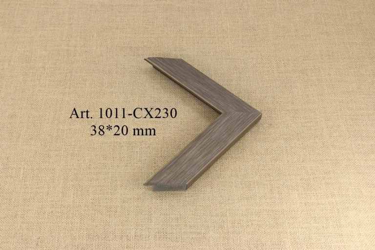 Frame 1011-CX230, INTCO