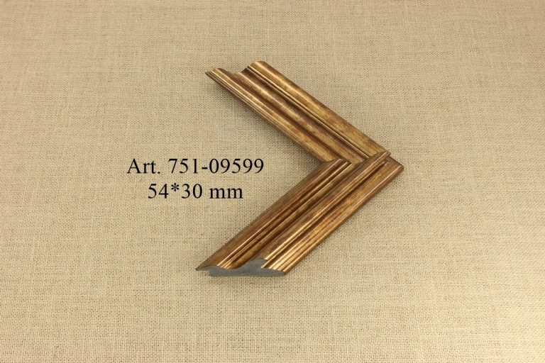 Rėmelis 751-09599, INTCO
