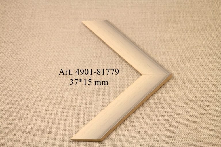 Frame 4901-81779, INTCO