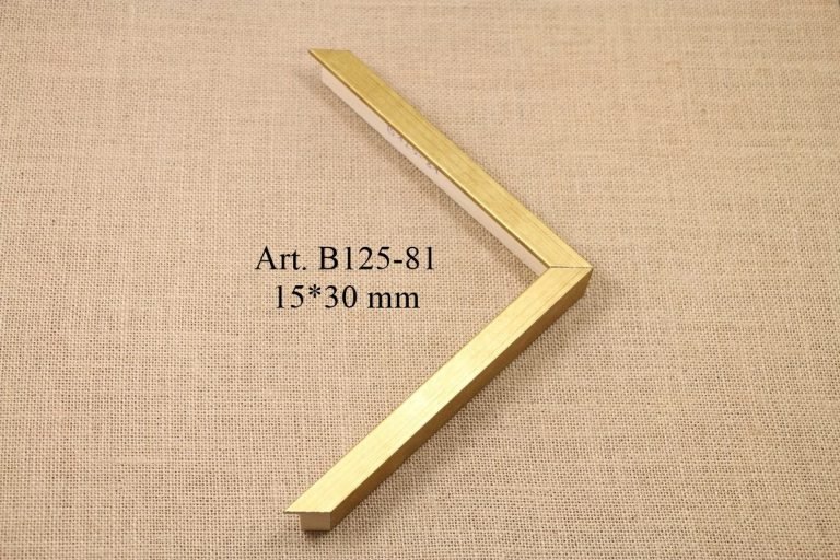 Rėmelis B125-81, INART