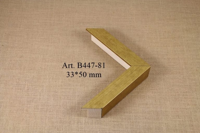 Rėmelis B447-81, INART