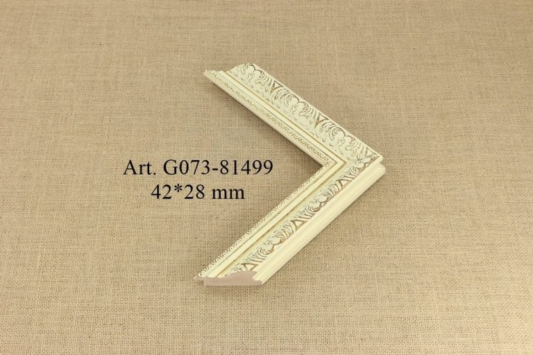Frame G073-81499, MOULDING
