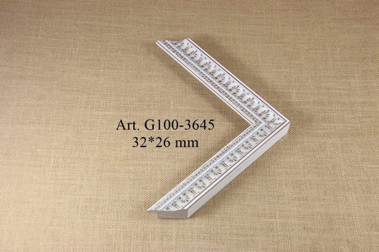 Frame G100-3645, MOULDING