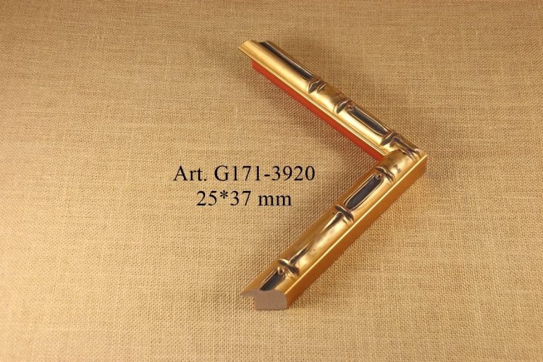 Rėmelis G171-3920, MOULDING