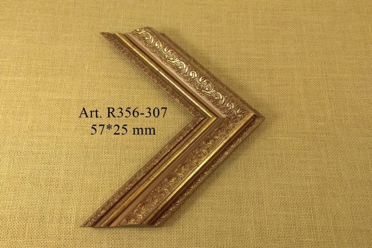 Frame R356-307, IRIS