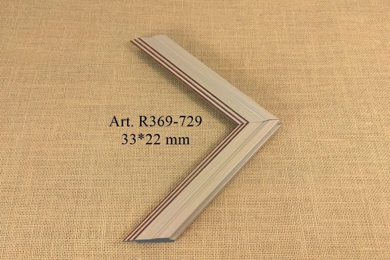 Frame R369-729, IRIS