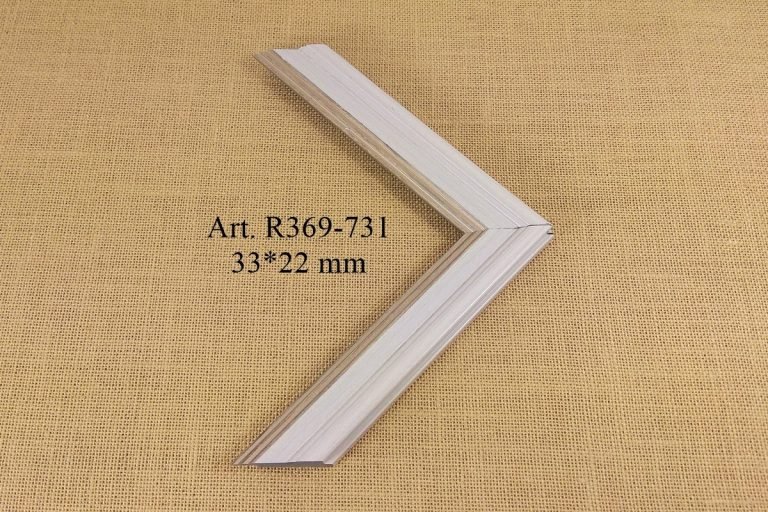 Frame R369-731, IRIS